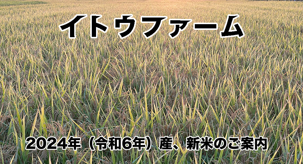 2023年産新米のご案内