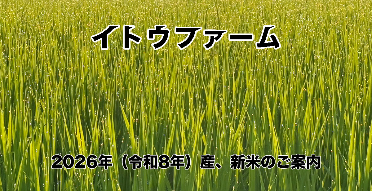 2025年産新米のご案内