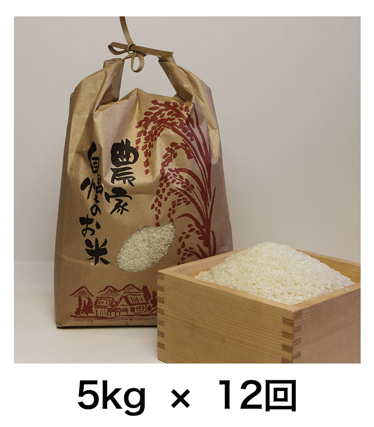 定期便5キロ12回発送
