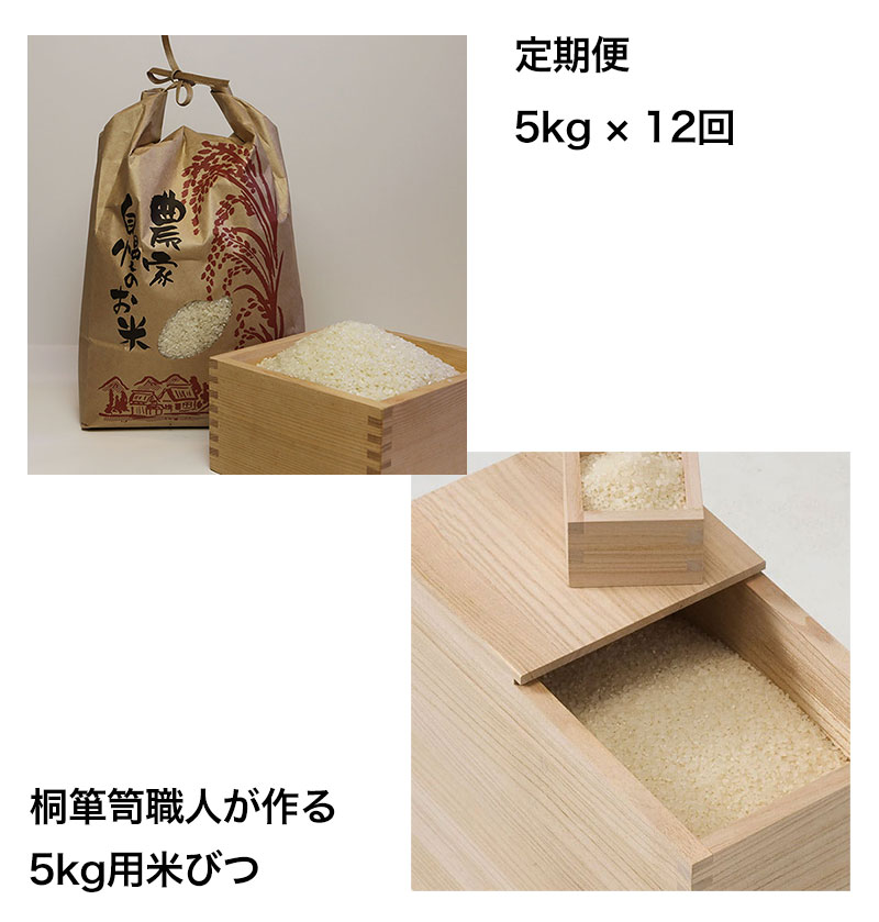 定期便5キロ12回発送米びつセット
